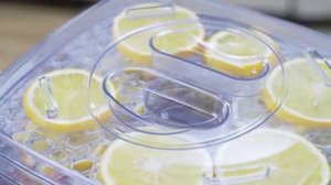 Сушилка для овощей и фруктов