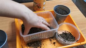 КАК УЗНАТЬ ПРАВДУ? Ионитный субстрат ЦИОН (Zion). Проведем эксперимент.