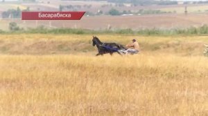 КОННЫЕ БЕГА – НОВАЯ ТРАДИЦИЯ БАСАРАБЯСКИ