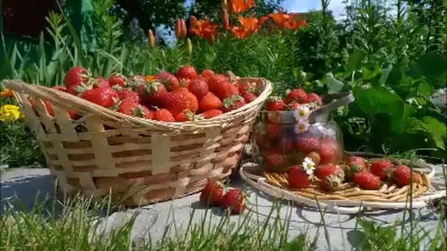 Меня из квартиры мама выселила, я взрослая. Сына отчима вселили! Реальные истории. Истории из жизни смотреть онлайн