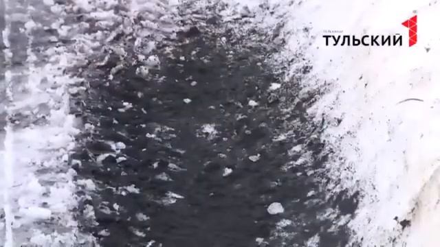 Тульскую область атакуют снежные блохи смотреть онлайн