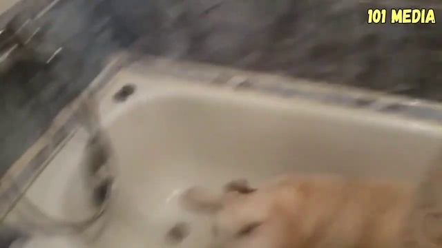 Смена чистых и грязьевых ван. смотреть онлайн