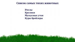 Каких сельскохозяйственных животных разводить именно Вам