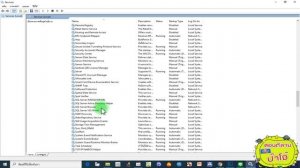 Wilcom E2 Windows10 error unable to open Sentinel Run-time Environment (H0033)!!!