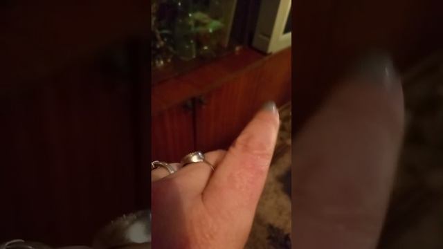 VID-20240316-WA0021 смотреть онлайн