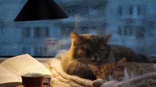 Расслабляющий дождь для сна.mp4