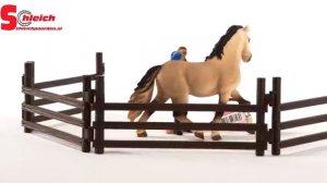 Набор для ухода за животными, Андалузский Schleich 42270