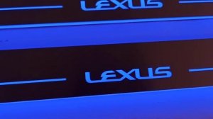 Led door sills for Lexus RX 4-gen with blue lighting