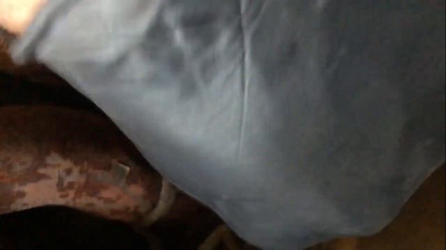 Ford Focus 2.0L o2 Sensor oxygen sensor 2012 2013 2014 p0420 смотреть онлайн