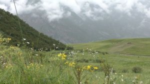 Кемпинг Алтын-Туу, Юг Телецкого, Кырсай, Карагай