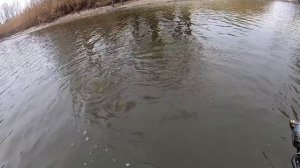 ОНИ ЖДАЛИ МЕНЯ! удачная рыбалка на сазана карпа на боковой кивок зимой с лодки