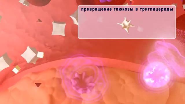 Валидол – смотреть онлайн видео от Готовим весело и со вкусом | в ...