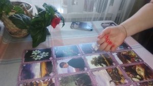 колесо судьбы