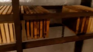 Сделал хранилище для сотовых рамок и полурамок???