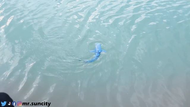 Rc Shark Unboxing And Unbelievable Testing…. смотреть онлайн