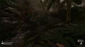 Строительство лагеря в игре Green hell #1 день