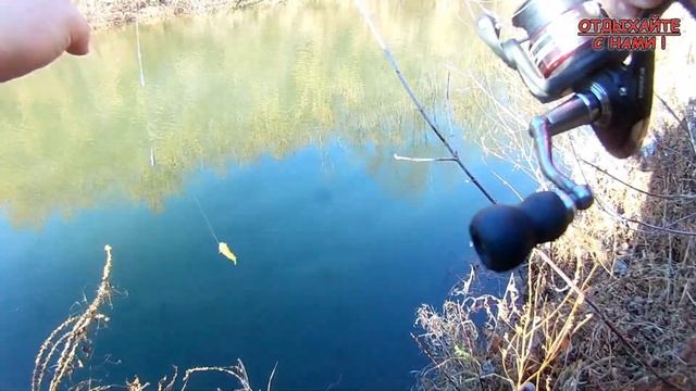 Ловля окуня на малой реке в конце октября. Рыбалка на отводной поводок. Larva по окуню. смотреть онлайн