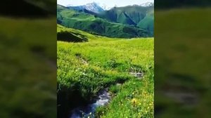 ШОК!!! СРОЧНАЯ НОВОСТЬ!!! В ЧЕЧНЕ НАЙДЕН КОВЧЕГ НОХА(НОЯ)а.с.