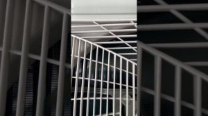 Кондиционер Haier шум работы 1U35PHP1FRA, видео 2