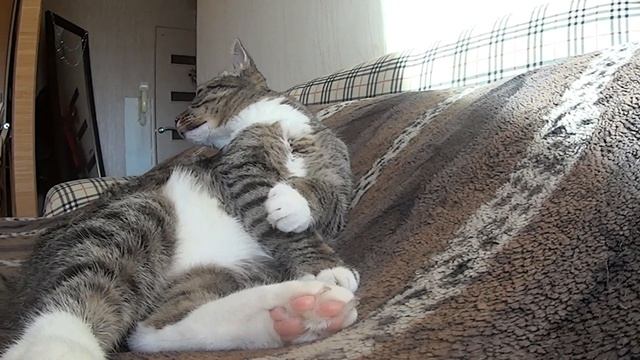 О погодных качелях Разгрузочный супчик и много Маруси смотреть онлайн