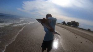 9 BLACKTIP SHARKS!! | SURF FISHING GALVESTON TX | ROLLOVER PASS