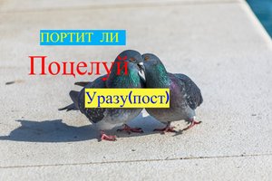 ПОЦЕЛУЙ/Нарушает ли Уразу (пост)???/ #ПризывМусульман #ислам