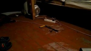 Как поймать мышь дома