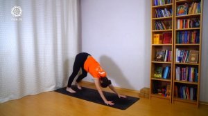 5 МИНУТ Сурья Намаскар (Приветствие солнца). 3 полный круга.