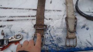 Ошейник своими руками.Амуницыя для волкодава .