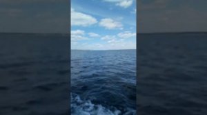 Лодочный мотор Альфа 3