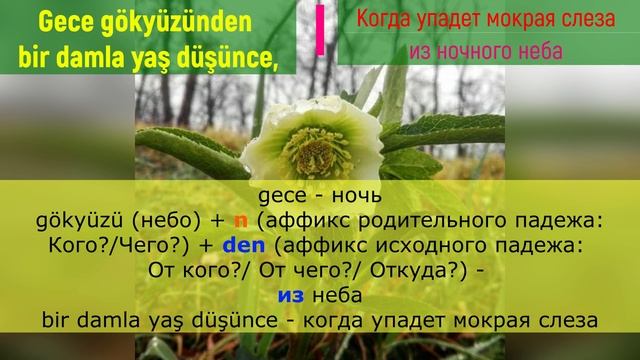 Турецкий по песням _ #34 Badem - Sen ağlama _ 276 день
