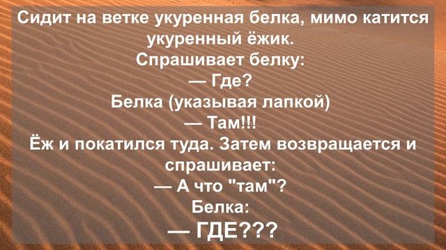 Лучшие анекдоты и смешные приколы 2023! Сборник свежего юмора!