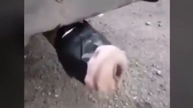 Насадка на выхлопную трубу смотреть онлайн