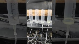 Mercedes Vito 638 2.2 плохой запуск двигателя