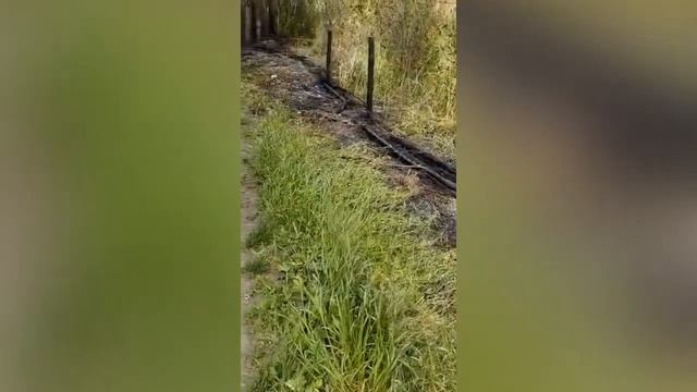 КУПИЛИ ЗАБРОШЕННУЮ ДАЧУ/ПОЖАР В СНТ?УШЛИ В ПОЛЯ/КОСИМ И ЗАБИВАЕМ!