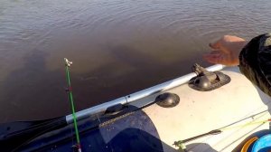 Как и на Что Ловить Язя на Реке! Ловим Щуку на Жерлицы! р.Кия!