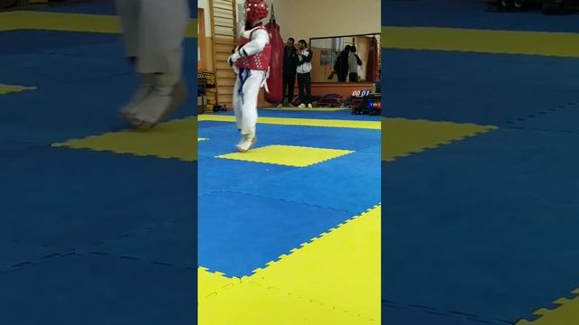 соревнования по техквондо смотреть онлайн