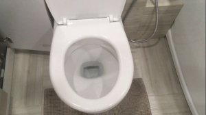 Лучшее средство для чистки унитазов!!!