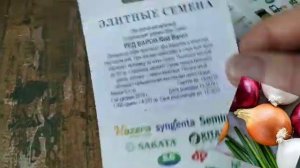 Посев лука на рассаду 2021. Новинки КЭНДИ и ГРИН БАННЕР, любимчики ЭКСИБИШЕН и РЕД БАРОН.