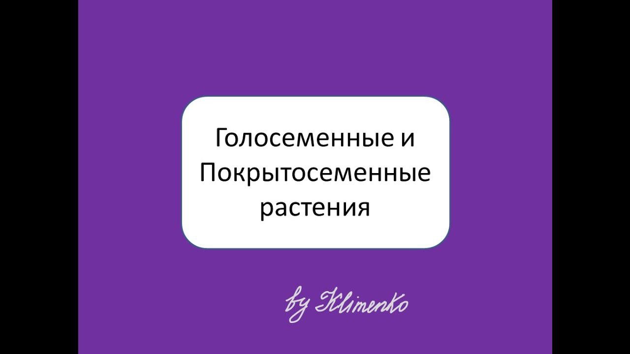 Голосеменные и Покрытосеменные растения