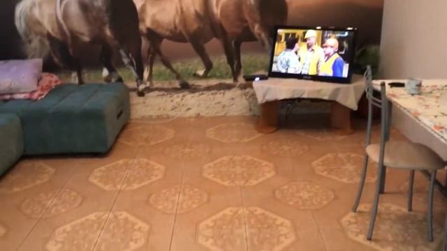 Дом Супсех со всеми коммуникациями #анападом #ипотекаанапа #домсупсех смотреть онлайн