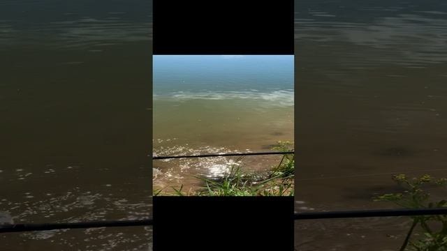 2022-06-12 рыбалка в Корамыслово