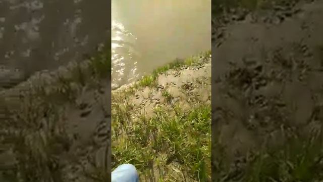 Вязка первый раз не получилось 😂 смотреть онлайн