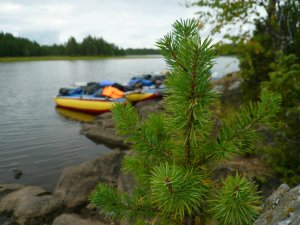 Сплав по рекам Карелии.