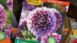 ГЕОРГИНЫ  Сорта с Названиями DAHLIA Varieties 2023 LONDON Обзор Магазина