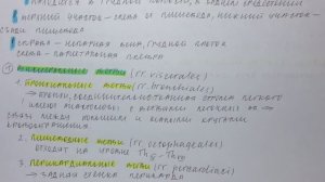 Билет 072. ГРУДНАЯ АОРТА, ТОПОГРАФИЯ, ВЕТВИ, ОБЛАСТИ КРОВОСНАБЖЕНИЯ.