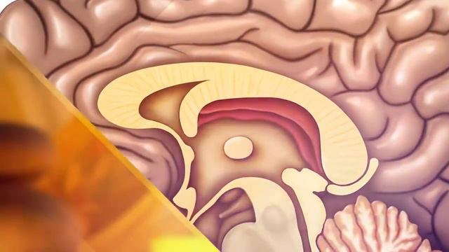 Secretele Antice ale Uleiurilor Esentiale (Ancient Secrets of Essential Oils full movie) - RO sub смотреть онлайн