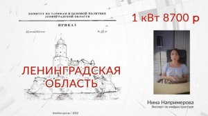 Тарифы на подключение электричества в Ленинградской области с 01 июля 2022 года.