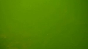 МПК 204 проекта, бак.