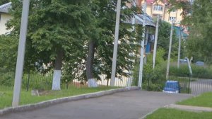 МОУ 'Волоколамская школа интернат' Стандарт оформления общеобразовательного учреждения в 2017 году